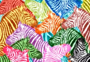 Ich gelobe feierlich ich bin ein Tausendsassa