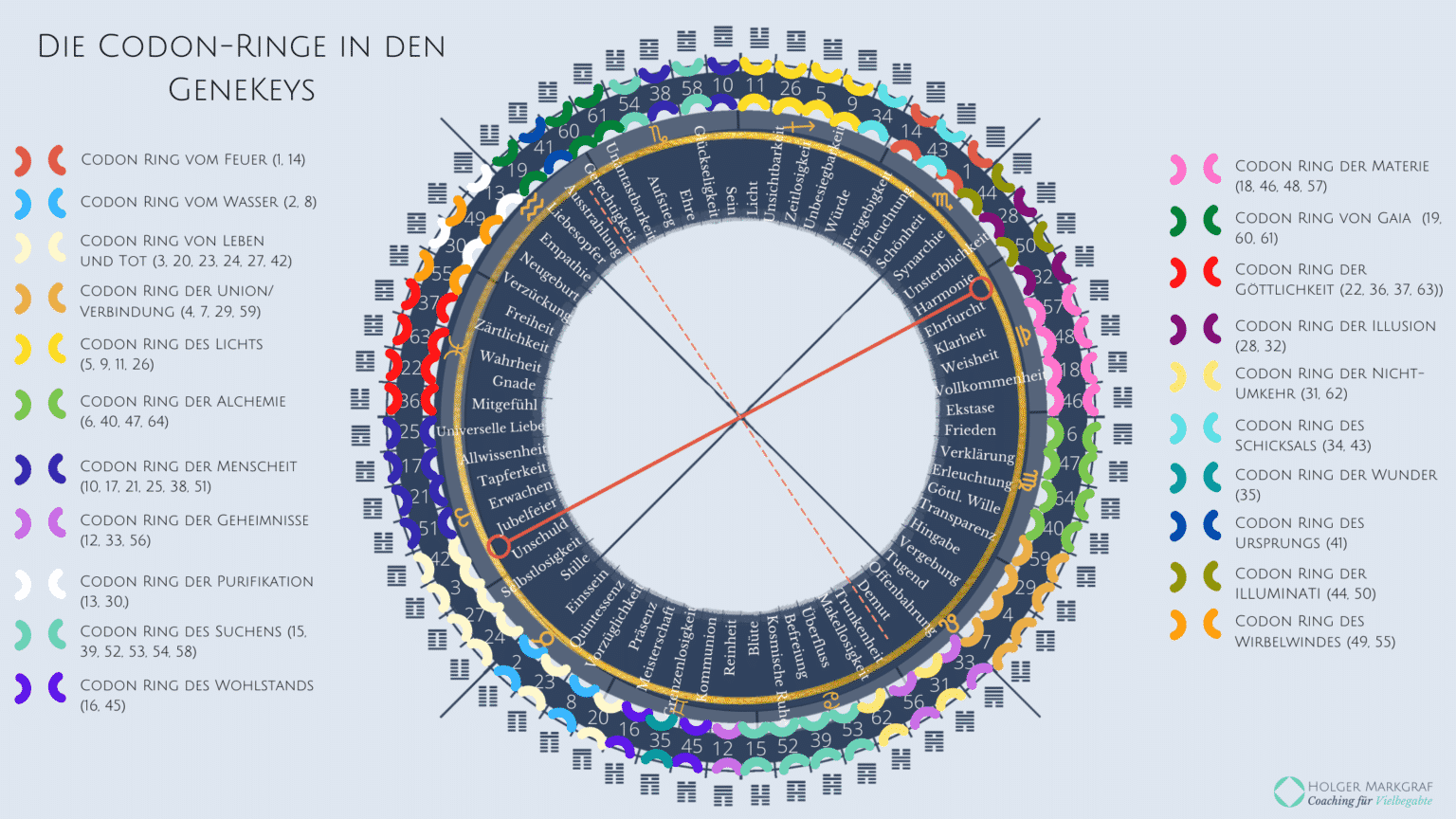 Die genetischen Codon-Ringe in den Gene Keys