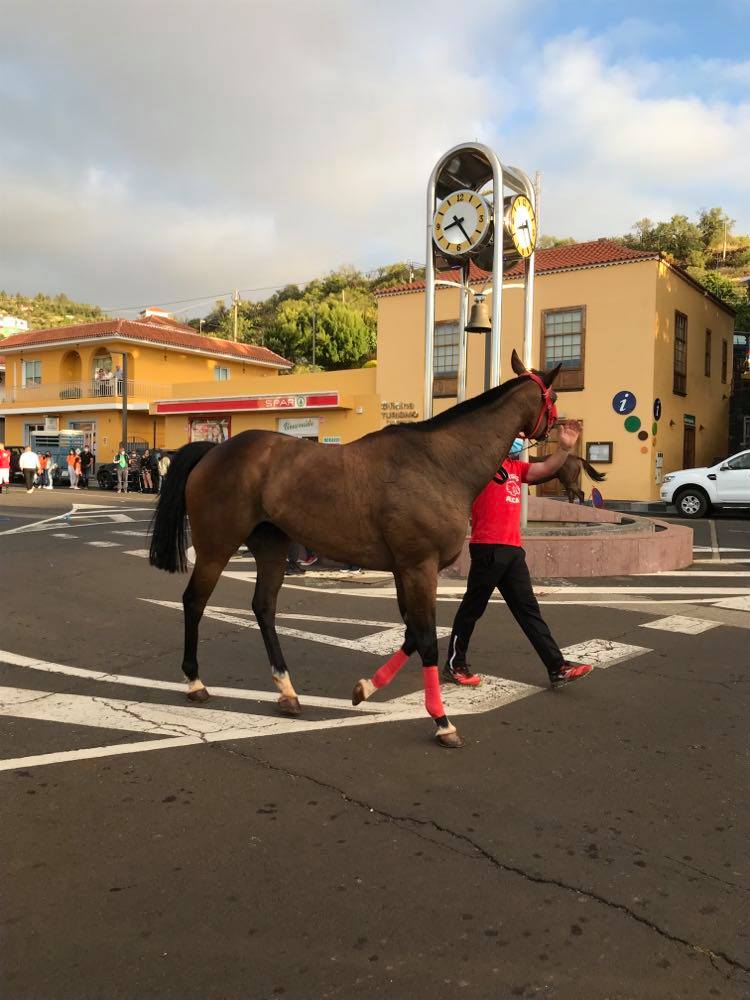 Pferderennen im Norden von La Palma