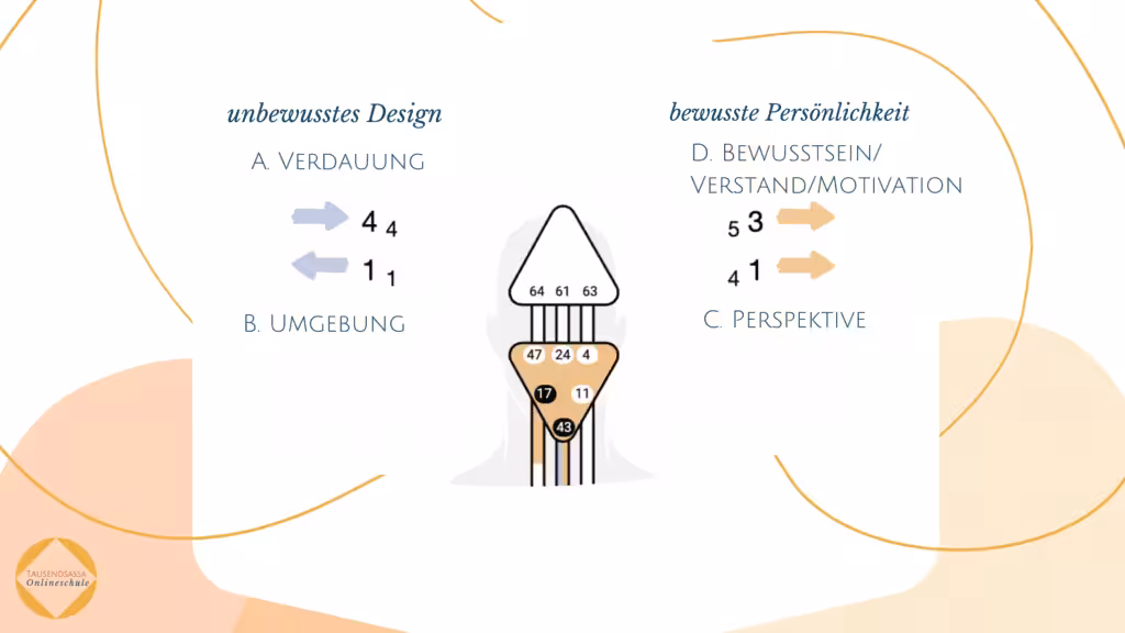 Die 4 Human Design Pfeile übersichtlich erklärt