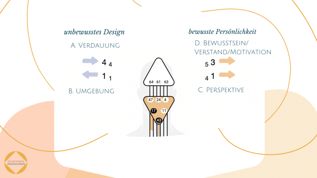 Die 4 Human Design Pfeile übersichtlich erklärt