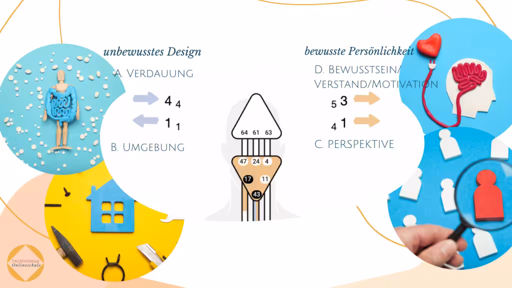 Die Bedeutung der Human Design Pfeile auch Human Design Variablen genannt