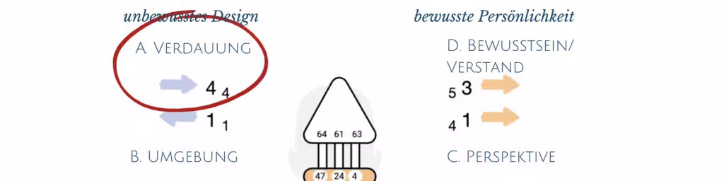 Die Human Design Pfeile; Variable Ernährung