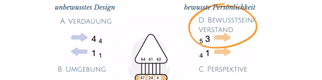 Die Human Design Pfeile; Variable Motivation