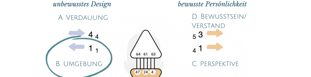 Die Human Design Pfeile; Variable Umgebung