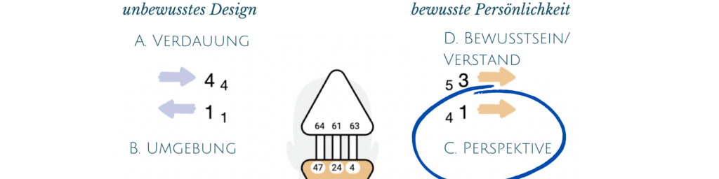 Die Human Design Pfeile; Variable Perspektive